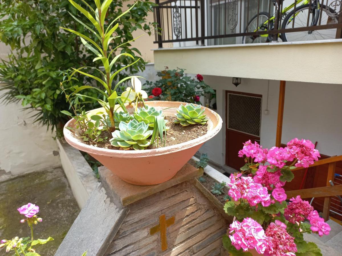 Sofita View Apartamento *